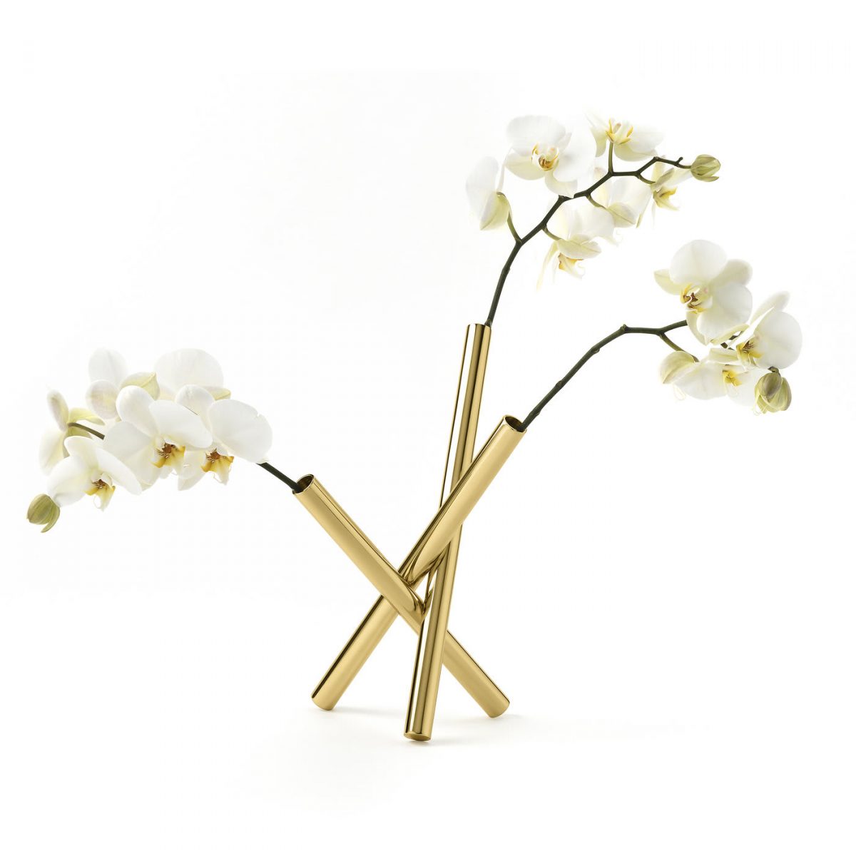 Sticks Flower Vase by GHIDINI1961