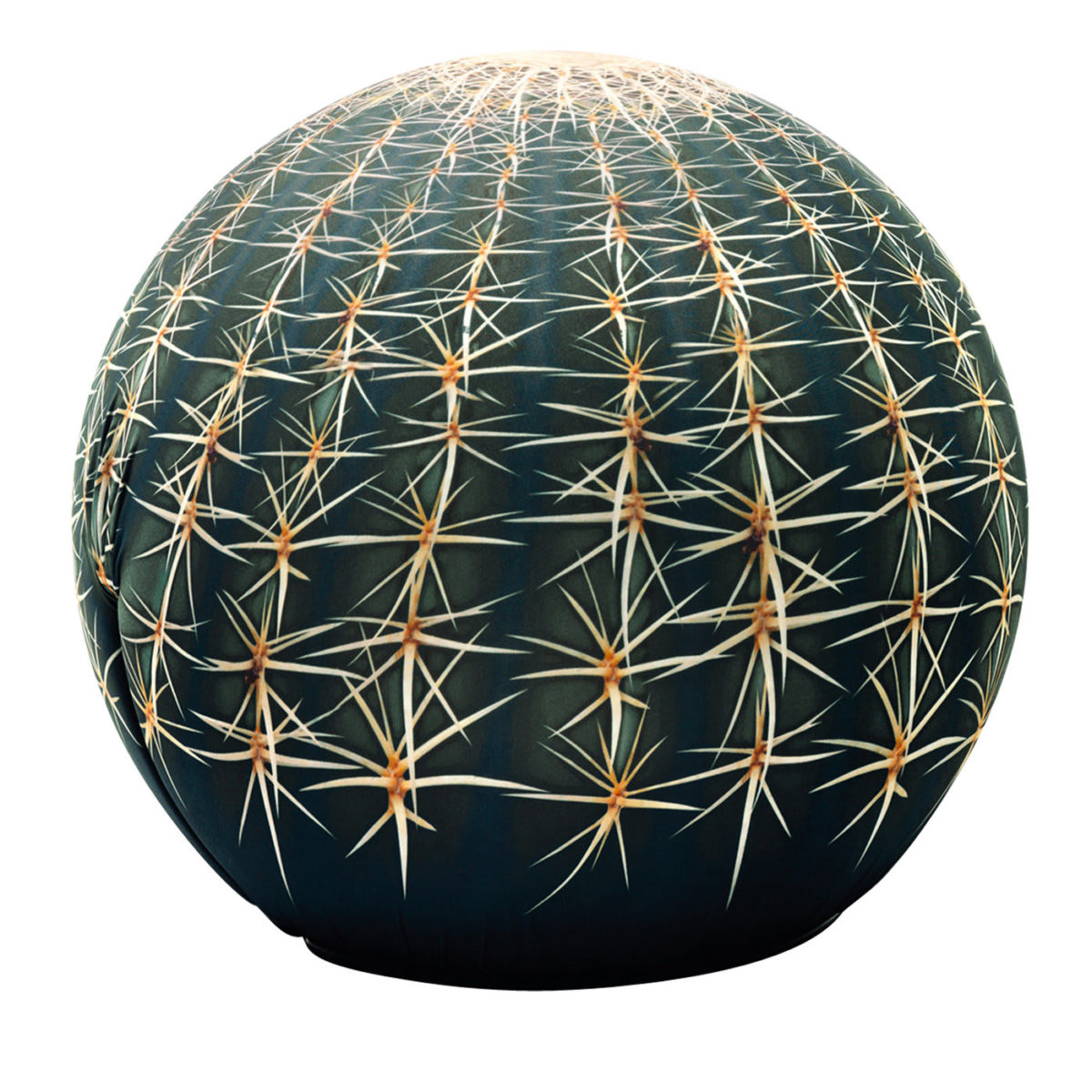 Tattoo Cactus Pouf by Maurizio Galante