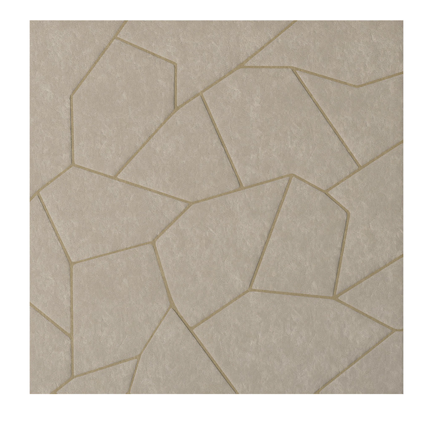 Temptation 7560 Rug by Carpanese Home