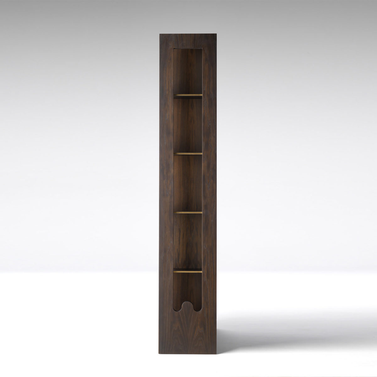 Saggio Bookshelf by Paolo Castelli