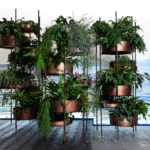 10th Vertical Garden Low by Exteta